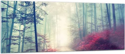 Produktbild von Bilder auf glas - Wald Baum Natur - 140x50cm - Glasbilder - Wandbilder - Kunstdruck - zum Aufhängen bereit - Wanddekoration aus Glas - Glas Bilder - Wandbild auf Glas - Einteilig - GAB140x50-3667