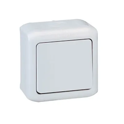 Immagine prodotto di 10 AX Neptteo Legrand Key - Grigio