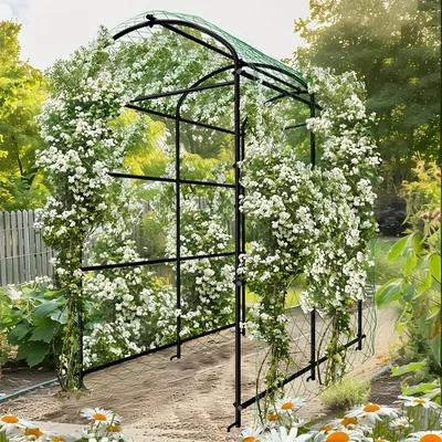 Image de Arche de jardin – Support pour plantes grimpantes et treillis pour vignes, de forme en U