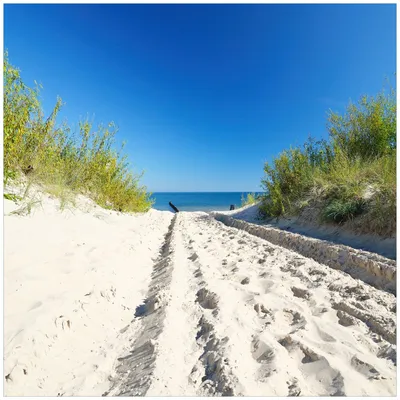 Produktbild von Wallario Magnet für Kühlschrank / Geschirrspüler, magnetisch haftende Folie - 60 x 60 cm, Motiv: Auf dem Sandweg zum Strand - Blauer Himmel über dem Meer