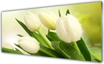 Produktbild von Glasbilder 125x50 Wandbild Druck auf Glas Tulpen Pflanzen