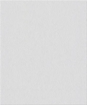 Produktbild von Erfurt Vliesfaser 1004373 Ready 304 10,05x0,53 m