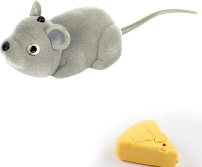 Image de Souris pour le contrôle