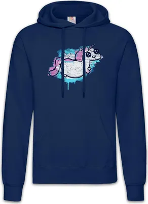 Produktbild von Urban Backwoods Unicorn Paint, Herren Hoodie, Farbe: Navy, Größe: M