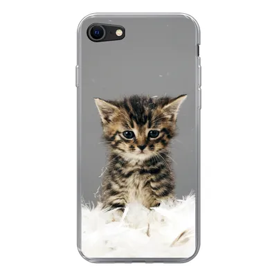Produktbild von MuchoWow® Handyhülle Schutzhülle Hülle für iPhone 7 Katze - Kätzchen - Federn Silikon Softcase Handy Hülle - Kartenhalter