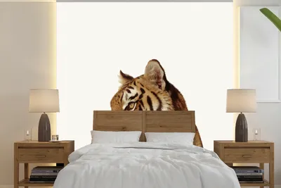 Produktbild von MuchoWow® Fototapete für Wohnzimmer oder Schlafzimmer Wandtapete Vinyl Motivtapete Tiger - Tier - Porträt - 280x280 cm - Hintergrundbild