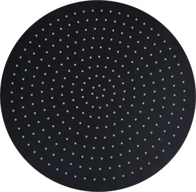 A round black shower head with many small white dots arranged in concentric circles.