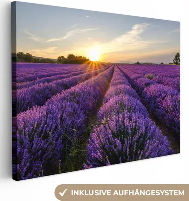 Obrázek produktu pro OneMillionCanvasses® - Obraz na plátně - Levandule - Květiny - Západ slunce - Fialová, nástěnná malba, nástěnné dekorace obrazy obývací pokoj, 40x30cm