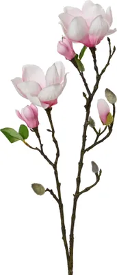 Produktbild von Künstlicher Magnolienzweig 76x15x11cm Weiß Rosa Grün