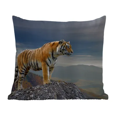 Obrázek produktu pro MuchoWow® Vnější polštář - Tygr - Hora - Příroda - Krajina -60x60 cm- Odolnost proti povětrnostním vlivům - polštář do obývacího pokoje