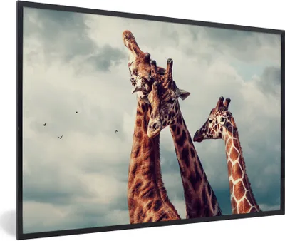 Produktbild von MuchoWow® Gerahmtes Poster Drei Giraffen unter einem bewölkten Himmel 30x20 cm - Poster mit Schwarzem Bilderrahmen Wandposter Rahmen Foto Bilder - Kunstdruck - Bild-Poster