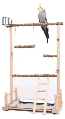 Vogelspielplatz aus Holz, 36,5x23x57 cm, mit Schaukel und Leiter