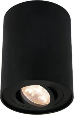 Produktbild von Deckenleuchte SPOTLIGHT maxi | schwenkbar | rund | GU10 schwarz | Warmweiß