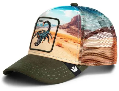 Image de Casquette Goorin Bros 101-2695PAL01 pour Uni