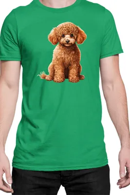 Obrázok produktu pre Mužské Tričko Dogs Breeds Poodle Dog Breed 006, Man S / zelená