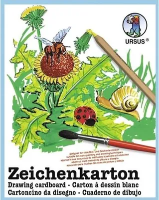 Produktbild von Zeichenkarton 250g/qm A4 VE=250 Bogen