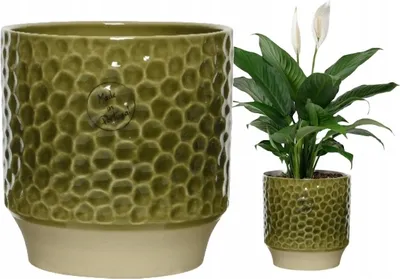 Produktbild von Keramik Blumentopf grün 13 x 13 cm