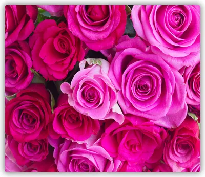 Produktbild von Tulup Glas Herdabdeckplatte Glaskeramikkochfeld-Abdeckung Spritzschutz Glasabdeckplatte Kochplattenabdeckung und Schneidebrett - Einteilig - 60x52 cm Blumenstrauß Rosen