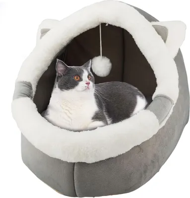 Immagine prodotto di Letto per gatti con giocattolo appeso e cuscino rimovibile