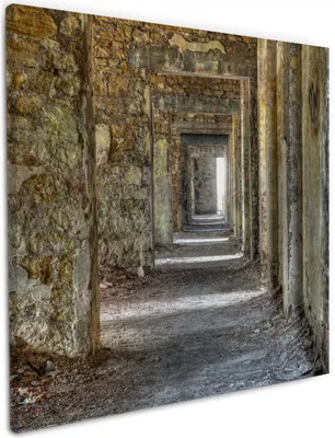 Produktbild von Wallario Premium Leinwandbild Weg durch eine verlassene Ruine in Größe 50 x 50 cm