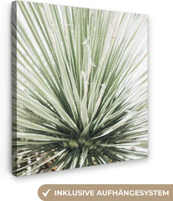Produktbild von MuchoWow® - Leinwandbilder - Grün - Blätter - Natur, Wandbild, Wanddeko Bilder Wohnzimmer, 50x50 cm