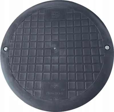 A top-down view of a black circular manhole cover with a grid pattern.