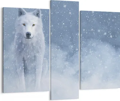 Produktbild von Bild auf Leinwand - Leinwandbild - 3 Teile - Weiß Wolf Schnee - 95x80cm - Wand Bild - Wanddeko - Wandbilder - Leinwanddruck - Bilder - Wanddekoration - Leinwand bilder - Wandbild - CB95x80-5006