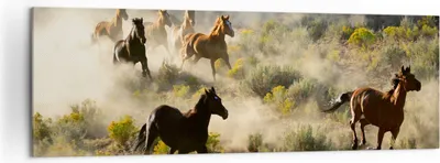Produktbild von Bild auf Leinwand - Leinwandbild - Cowboy Cowgirl Pferd - 160x50cm - Wand Bild - Wanddeko - Leinwanddruck - Bilder - Kunstdruck - Wanddekoration - Leinwand bilder - Wandkunst - AB160x50-2201