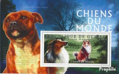 Produktbild von Briefmarken Guinea 2009 Mi Block 1790 (kompl. Ausgabe) postfrisch Hunde der Welt