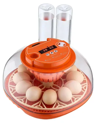 Obrázok produktu pre Inkubátor na vajcia, automatický obracač, LED svietidlo na kontrolu vajec, 12