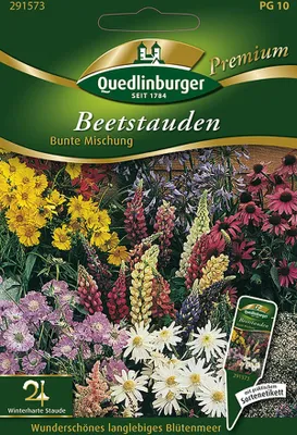 Produktbild von Quedlinburger Beetstauden Bunte Mischung - Premium Blumensamen