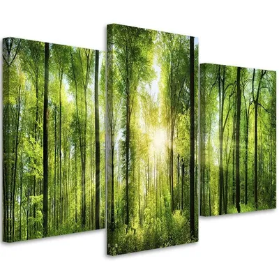 Produktbild von Triptychon auf leinwand sonnenschein in einem grünen wald 90x60 cm Feeby grün wandbild bereit zum aufhängen