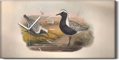 Produktbild von Dekor Leinwand Uhr Wandbilder Geräuschlos 60x30 Vögel Wild Tiere Zeichnung Kunst - weiße Hände