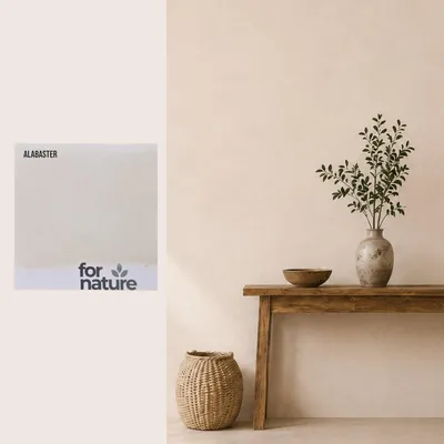 Produktbild von Kalkfarbe Fornature LIMEA, Farbmuster Alabaster (Hellbeige), für Innenwände und Decken