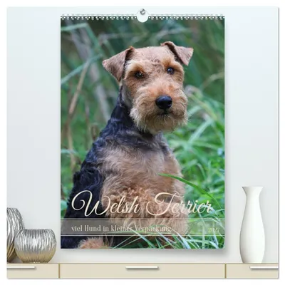 Produktbild von Welsh Terrier - viel Hund in kleiner Verpackung (hochwertiger Premium Wandkalender 2027 DIN A2 hoch), Kunstdruck in Hochglanz
