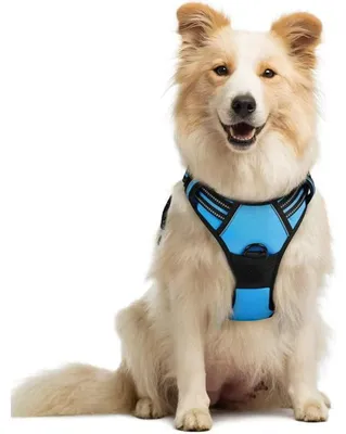 Produktbild von Rabbitgoo Verstellbares Hundegeschirr mit Griff, reflektierendem Material, strapazierf?higem, atmungsaktivem Material šC Hellblau šC Gr??e M