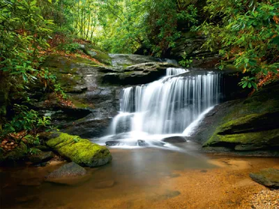 Produktbild von Sanders & Sanders Fototapete Wasserfall Grün 375 x 270 cm