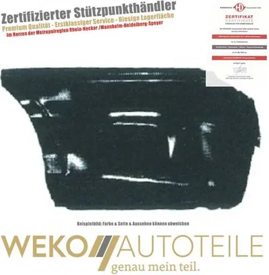Produktbild von Seitenwand hinten links DIEDERICHS 9318251 für OPEL