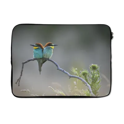 Produktbild von MuchoWow® Laptop Hülle 13 Zoll Ein Bild von zwei Bienenfressern Laptoptasche - Laptophülle - Sleeve - Rundumschutz