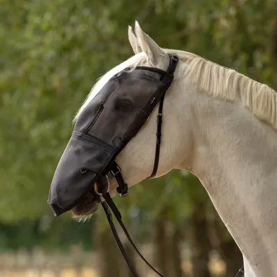 Produktbild von Busse Fliegenmaske RIDING PLUS