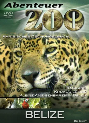 Produktbild von Abenteuer Zoo