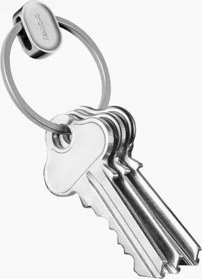 A close-up shot of a silver Orbitkey Ring v2 with several keys attached.
