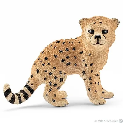Productafbeelding van Jong cheetah