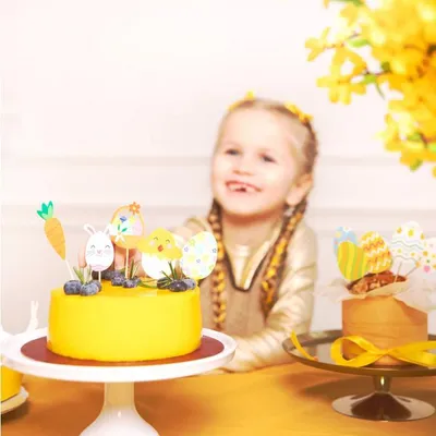Obrázok produktu pre OSTERN Muffin Cupcake Pickers 5 Stk.