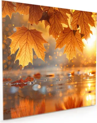 Produktbild von Küchenrückwand Spritzschutz Glas mit Motiv Herbstliche Blätter 40 x 40 cm