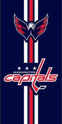 Produktbild von NHL Washington Capitals Prestige Frotteehandtuch 70x140 cm