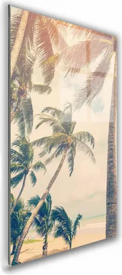 Zdjęcie produktu dla OBRAZ NA SZKLE PROSTOKĄTNY 70x100cm 076 Palmy
