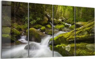 Produktbild von DEQORI Glasbild Echtglas 4x30x60 cm 'Sattgrüne Waldkulisse' Wandbilder XXL groß