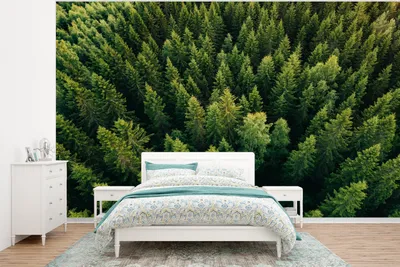 Produktbild von MuchoWow® Fototapete für Wohnzimmer oder Schlafzimmer Wandtapete Vinyl Motivtapete Wald - Baum - Grün - 350x260 cm - Wohnzimmer-Tapete