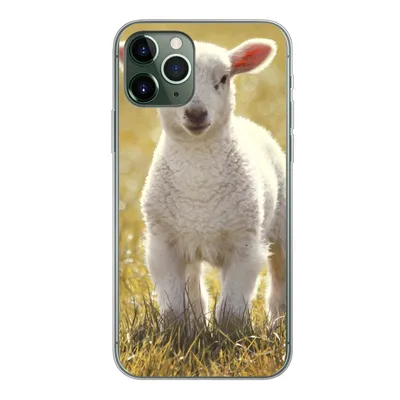 Produktbild von MuchoWow® Handyhülle Schutzhülle Hülle für iPhone 11 Pro Lamm - Gras - Sonne Silikon Softcase Handy Hülle - Handy